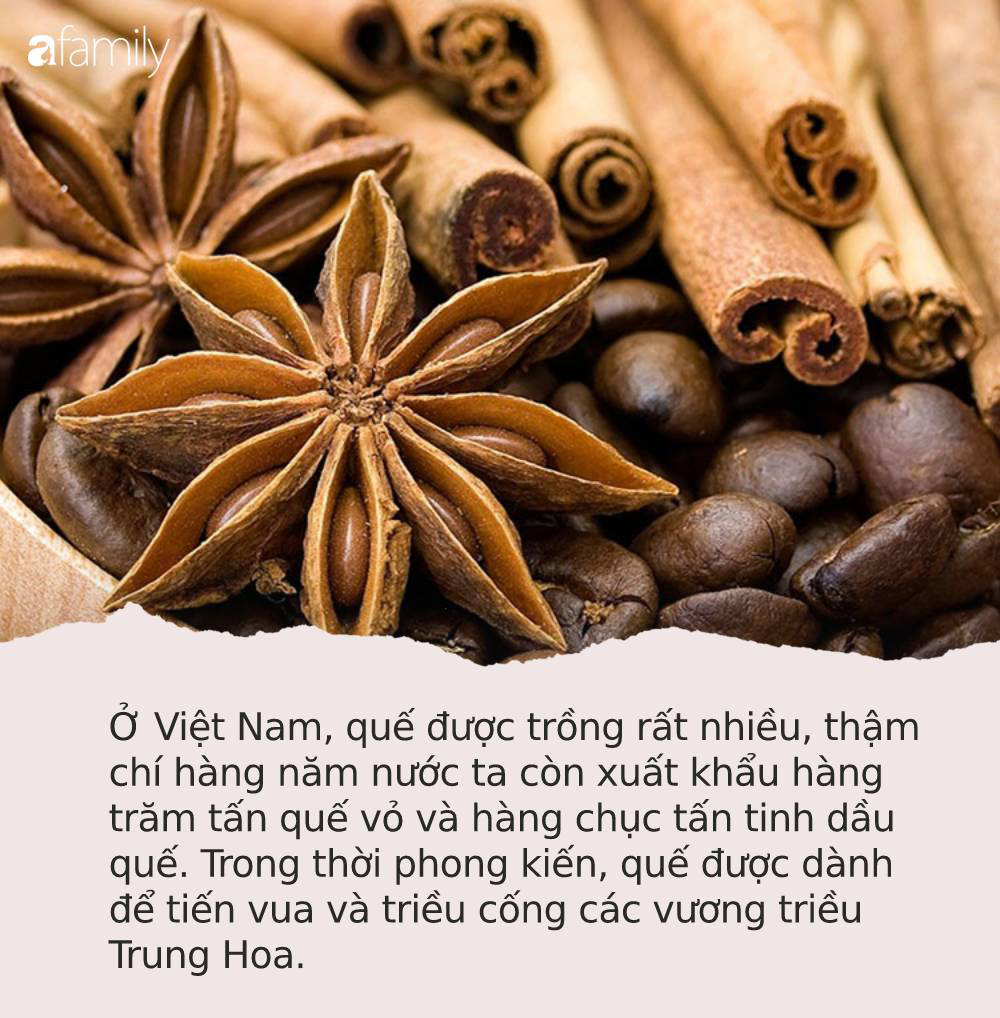 Tốt ngang nhụy hoa nghệ tây, ở Việt Nam cũng có loại gia vị được mệnh danh là TỨ BẢO của Đông y, trị bệnh hay dưỡng nhan đều xuất sắc - Ảnh 1.