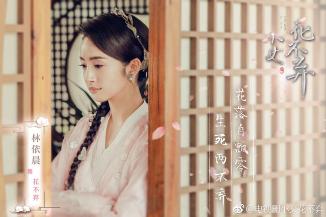 Top 60 phim truyền hình, Webdrama ăn khách nhất 2019: Dương Tử bại trận trước Triệu Lệ Dĩnh - Ảnh 11.