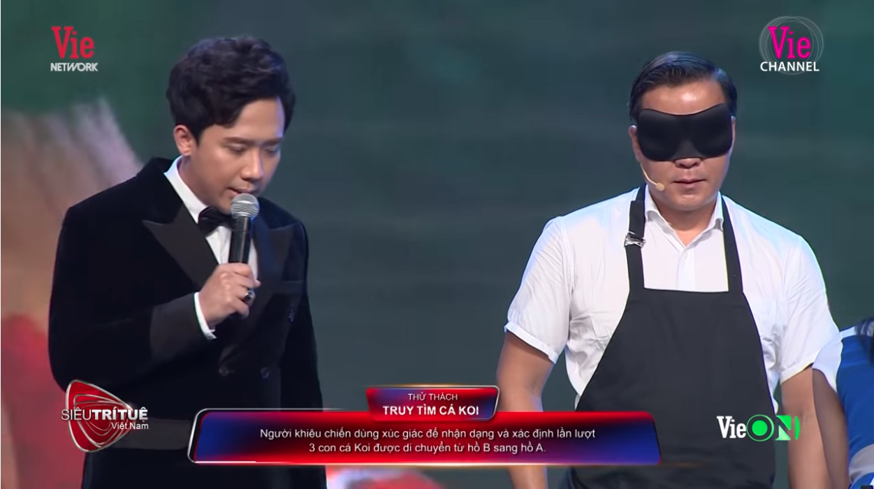Chuyện tình của vua cá Koi Việt Nam: Nâng niu cá hơn cả vợ khiến bà xã phát hờn - Ảnh 1. Chuyện tình của vua cá Koi Việt Nam: Nâng niu cá hơn cả vợ khiến bà xã phát hờn - Ảnh 1.