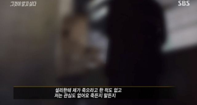 Netizen phản ứng gay gắt trước phóng sự &quot;ai đã giết chết Sulli?&quot; được phát sóng trên truyền hình Hàn Quốc - Ảnh 2.
