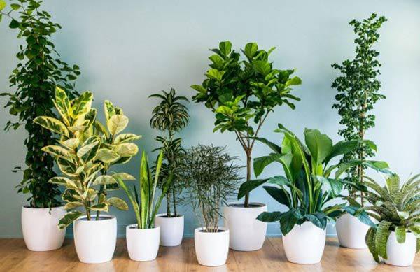 Bác sĩ nhắc nhở: Khi ngủ, không để 3 đồ vật này gần đầu giường, bằng không sẽ gây hại lớn tới sức khỏe - Ảnh 2. Bác sĩ nhắc nhở: Khi ngủ, không để 3 đồ vật này gần đầu giường, bằng không sẽ gây hại lớn tới sức khỏe - Ảnh 2.