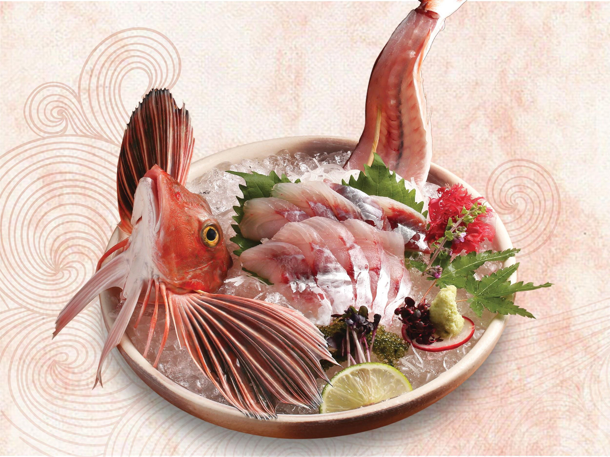 Fukuoka - trung tâm giao thương lâu đời của nước Nhật và những món cá ngon mà thương nhân yêu thích. - Ảnh 3. Fukuoka - trung tâm giao thương lâu đời của nước Nhật và những món cá ngon mà thương nhân yêu thích. - Ảnh 3.