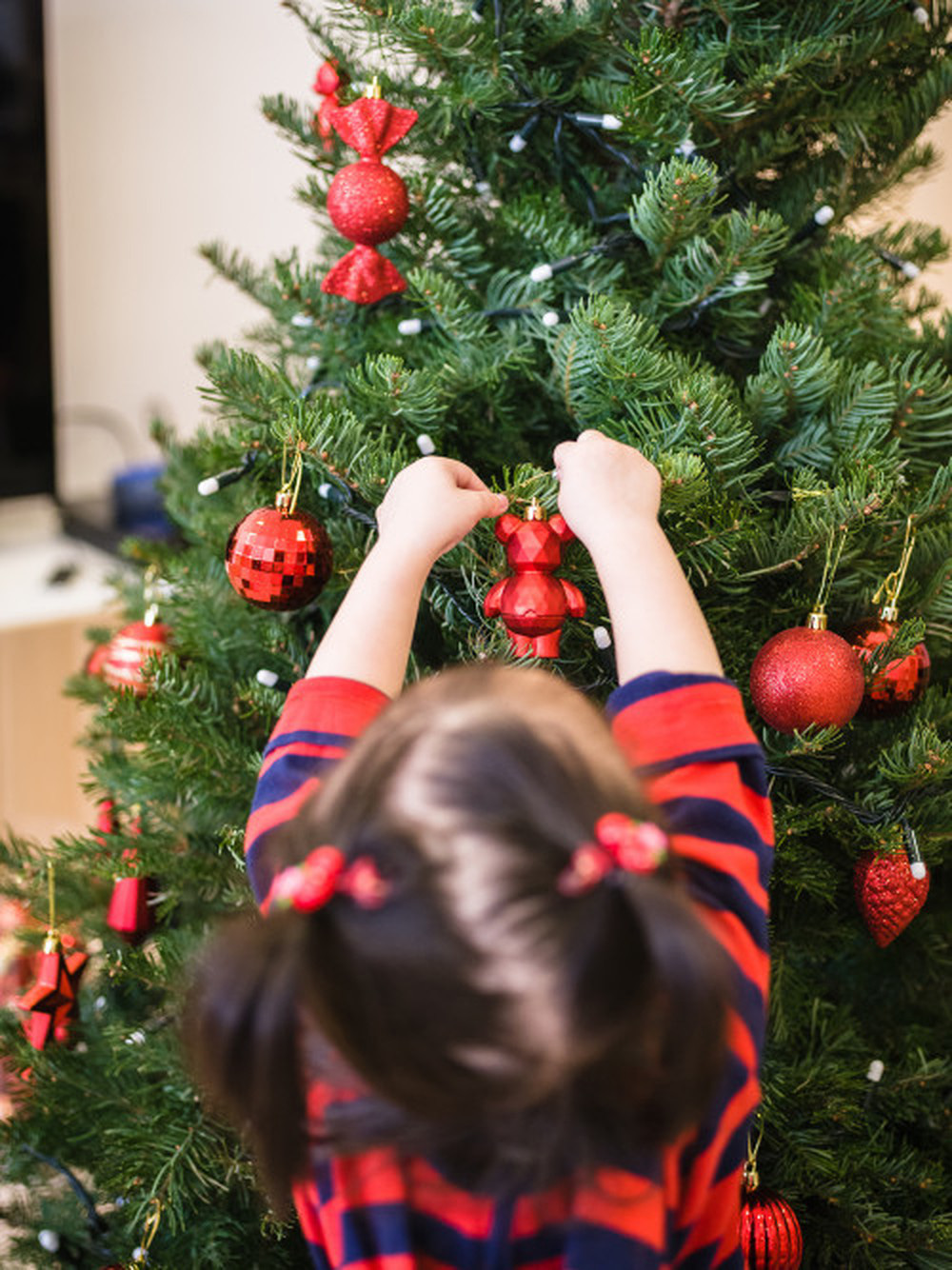 Cây thông Noel nhỏ giá chỉ từ 350.000 cực hot mùa Giáng sinh năm nay