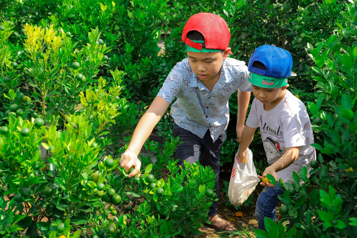 Khoảnh khắc dễ thương của c&aacute;c b&eacute; trong H&agrave;nh tr&igrave;nh về v&ugrave;ng dược liệu đạt chuẩn quốc tế - Ảnh 7.
