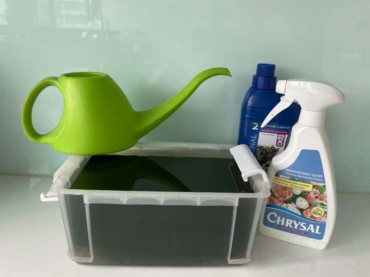 Từ A-Z cách cắm hoa dáng tròn đẹp như mơ cực dễ dàng - Ảnh 11. Từ A-Z cách cắm hoa dáng tròn đẹp như mơ cực dễ dàng - Ảnh 11.