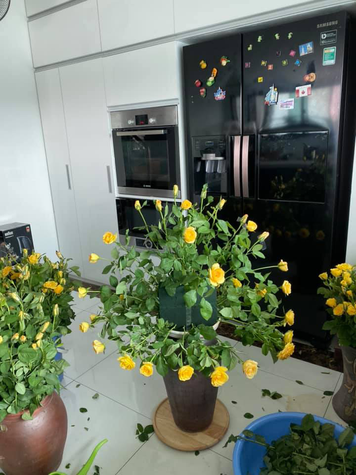 Từ A-Z cách cắm hoa dáng tròn đẹp như mơ cực dễ dàng - Ảnh 20. Từ A-Z cách cắm hoa dáng tròn đẹp như mơ cực dễ dàng - Ảnh 20.