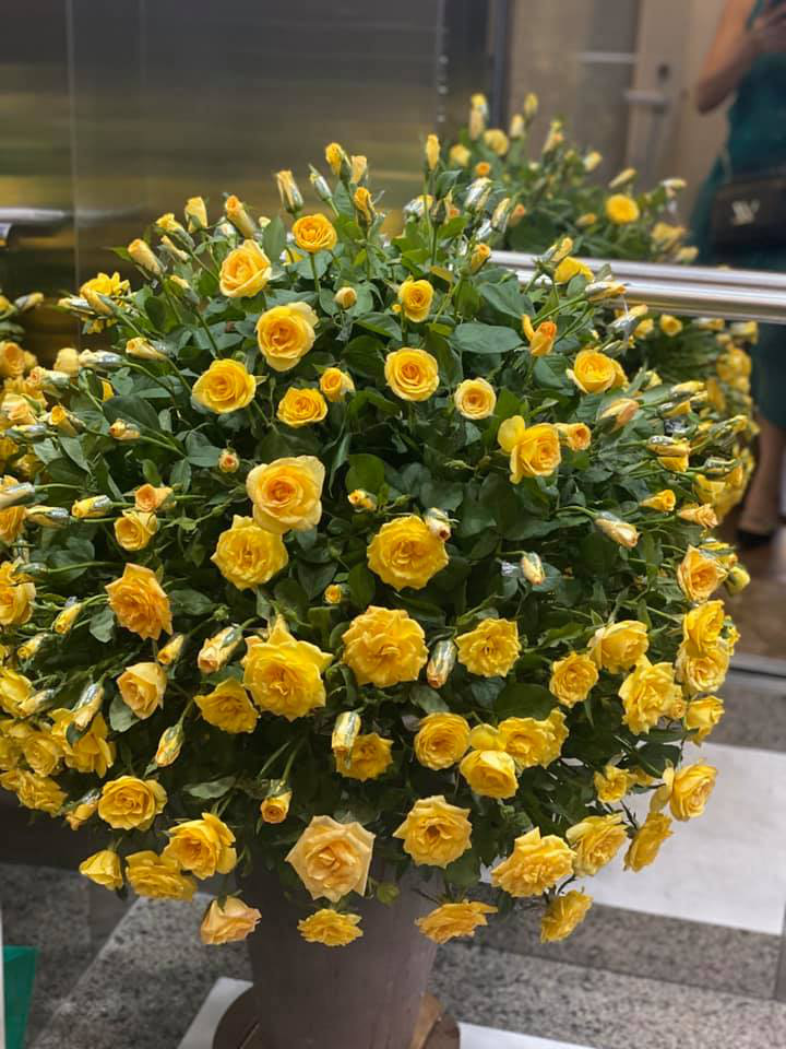 Từ A-Z cách cắm hoa dáng tròn đẹp như mơ cực dễ dàng - Ảnh 21. Từ A-Z cách cắm hoa dáng tròn đẹp như mơ cực dễ dàng - Ảnh 21.