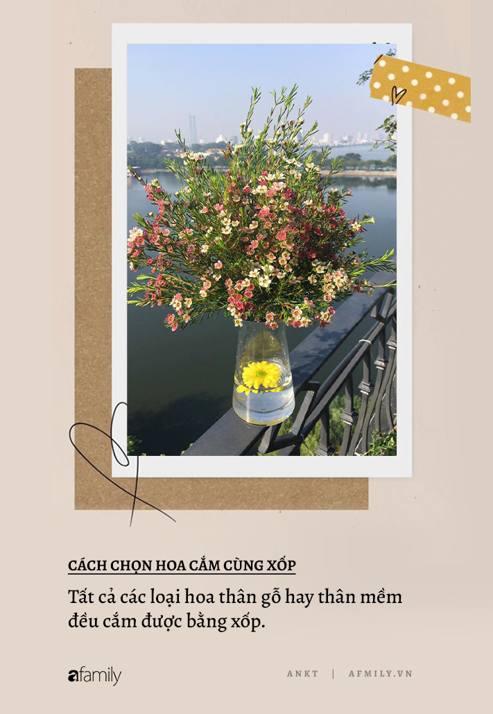 Từ A-Z cách cắm hoa dáng tròn đẹp như mơ cực dễ dàng - Ảnh 9. Từ A-Z cách cắm hoa dáng tròn đẹp như mơ cực dễ dàng - Ảnh 9.