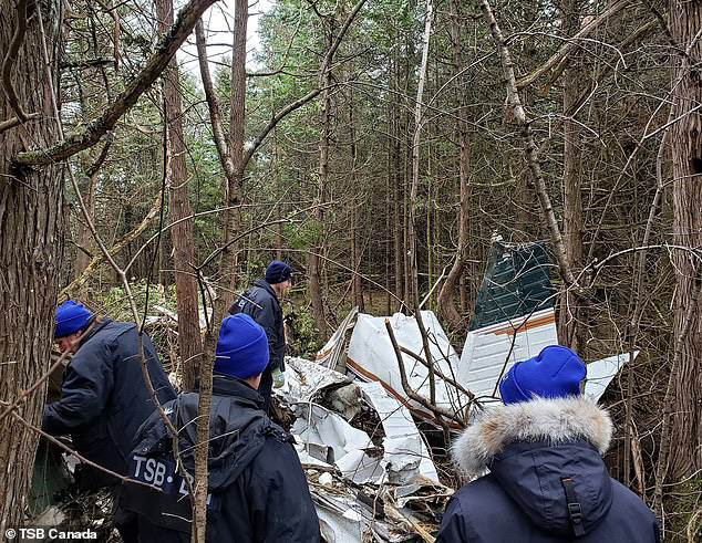 Tai nạn kinh hoàng: 4 người lớn và 3 trẻ em thiệt mạng sau khi máy bay rơi xuống một khu rừng rậm ở Canada - Ảnh 4.