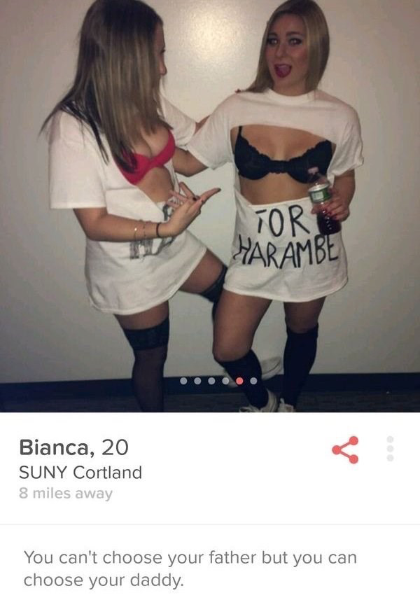 Cười ra nước mắt với những dòng giới thiệu "chất hơn nước cất" trên Tinder của hội "người trẻ neo đơn" - Ảnh 2. Cười ra nước mắt với những dòng giới thiệu "chất hơn nước cất" trên Tinder của hội "người trẻ neo đơn" - Ảnh 2.