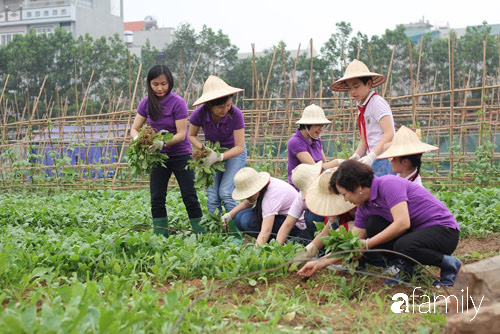 Vườn rau xanh ngát đủ loại cây trong các trường, cha mẹ nhìn vào cũng phải mê tít - Ảnh 11.