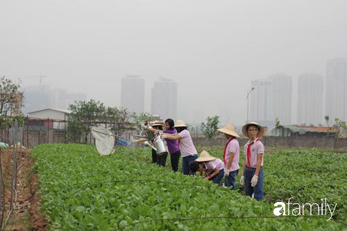 Vườn rau xanh ngát đủ loại cây trong các trường, cha mẹ nhìn vào cũng phải mê tít - Ảnh 12.