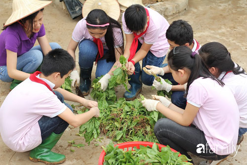 Vườn rau xanh ngát đủ loại cây trong các trường, cha mẹ nhìn vào cũng phải mê tít - Ảnh 14.