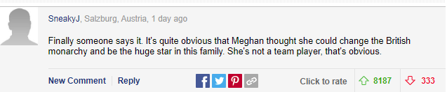 Meghan Markle bất ngờ bị cáo buộc biến gia đình nhà chồng thành chương trình truyền hình cá nhân, Hoàng tử Harry là &quot;kẻ ngốc&quot; - Ảnh 3.