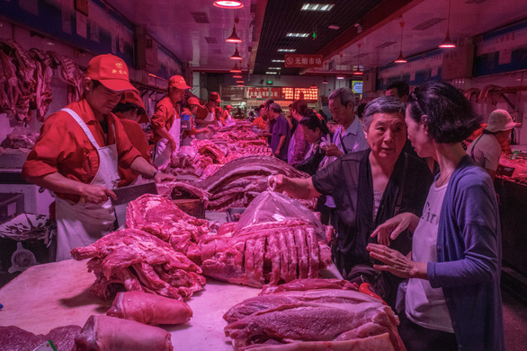 Thừa nước đục thả câu, tội phạm Trung Quốc phát tán lây dịch tả heo và mua lợn nhiễm bệnh bán ra ngoài thị trường - Ảnh 2.