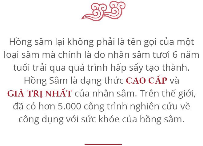 Câu chuyện Hồng sâm: Không phải ngẫu nhiên trở thành Quốc bảo của xứ sở Đại Hàn Dân Quốc - Ảnh 1.