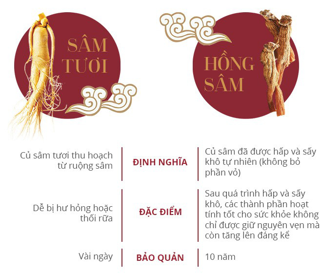 Câu chuyện Hồng sâm: Không phải ngẫu nhiên trở thành Quốc bảo của xứ sở Đại Hàn Dân Quốc - Ảnh 2.