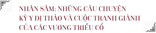 Câu chuyện Hồng sâm: Không phải ngẫu nhiên trở thành Quốc bảo của xứ sở Đại Hàn Dân Quốc - Ảnh 3.