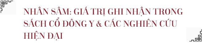 Câu chuyện Hồng sâm: Không phải ngẫu nhiên trở thành Quốc bảo của xứ sở Đại Hàn Dân Quốc - Ảnh 5.