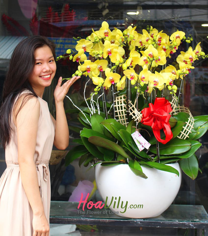 Hoavily – Bật mí những bó hoa đẹp tặng sinh nhật khiến nàng yêu say đắm bạn hơn - Ảnh 6.