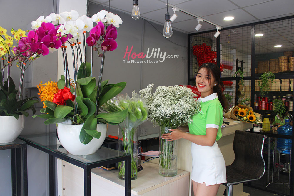 Muốn mua hoa chúc mừng sức khỏe chất lượng hãy đến shop Hoa Vily