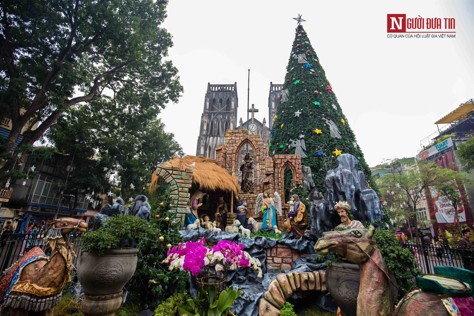 Chiêm ngưỡng những cây thông Noel khổng lồ tại Hà Nội - Ảnh 2. Chiêm ngưỡng những cây thông Noel khổng lồ tại Hà Nội - Ảnh 2.