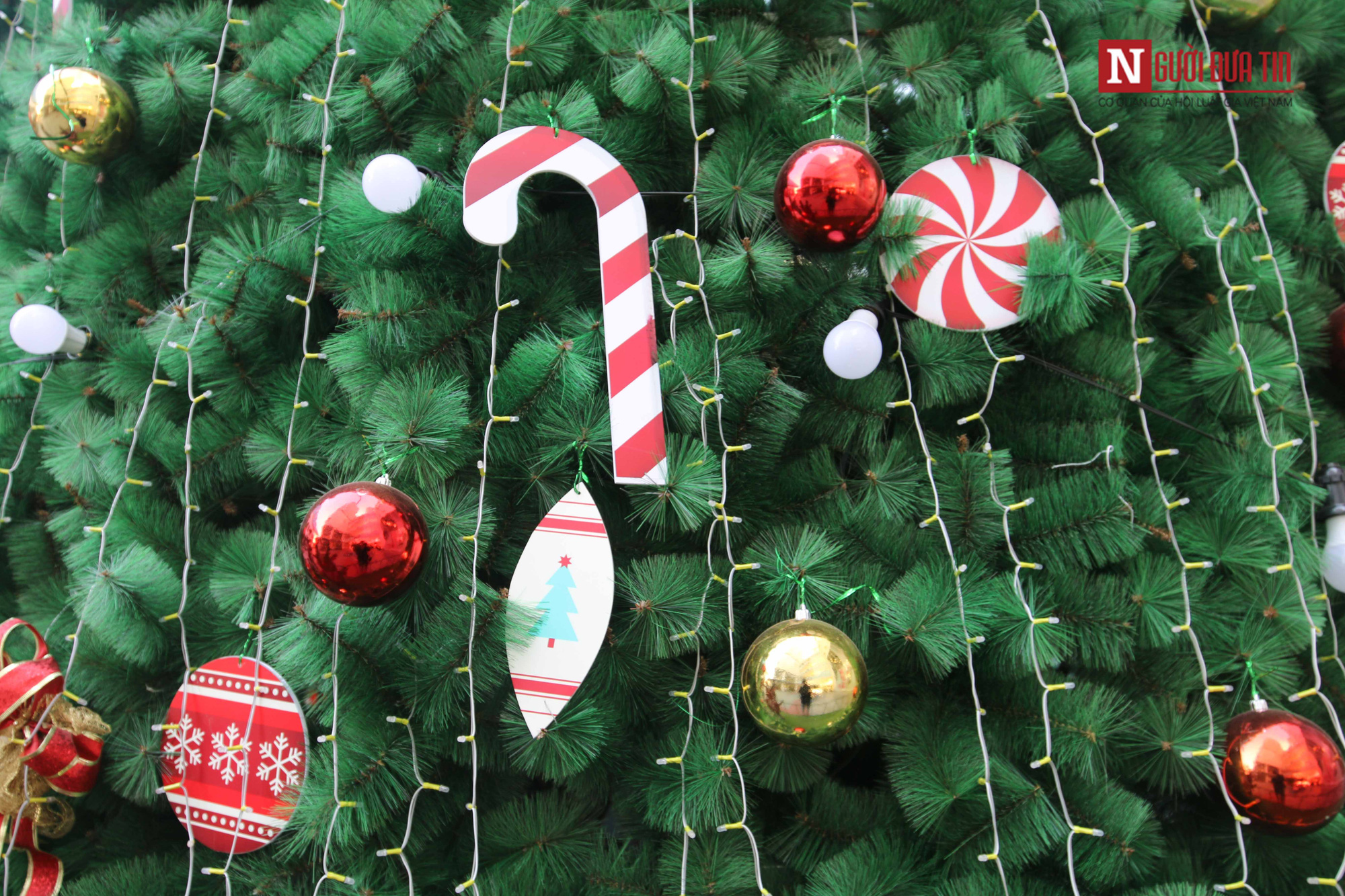 Chiêm ngưỡng những cây thông Noel khổng lồ tại Hà Nội - Ảnh 10. Chiêm ngưỡng những cây thông Noel khổng lồ tại Hà Nội - Ảnh 10.