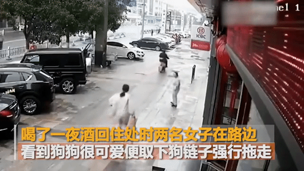 Thấy chó dễ thương, hai cô gái trẻ tháo dây rồi trộm một cách thản nhiên, xem camera giám sát ai cũng phẫn nộ - Ảnh 3. Thấy chó dễ thương, hai cô gái trẻ tháo dây rồi trộm một cách thản nhiên, xem camera giám sát ai cũng phẫn nộ - Ảnh 3.