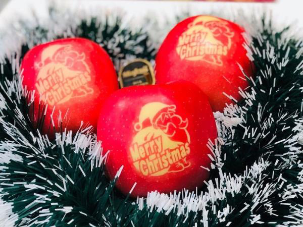 Gần nửa triệu đồng một quả táo phiên bản 'Merry Christmas' - VTC News - Ảnh 2.