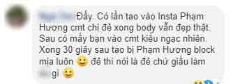 Trước khi xác nhận đã sinh con trai, Phạm Hương đã từng nhiều lần &quot;chối đây đẩy&quot; chuyện mang thai, netizen nhận xét: &quot;Đây là biểu hiện của sự lươn lẹo&quot; - Ảnh 6.