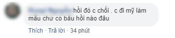 Phạm Hương đã &quot;chối đây đẩy&quot; nhiều lần chuyện mang thai, netizen nhận xét: &quot;Đây là biểu hiện của sự lươn lẹo&quot; - Ảnh 10.