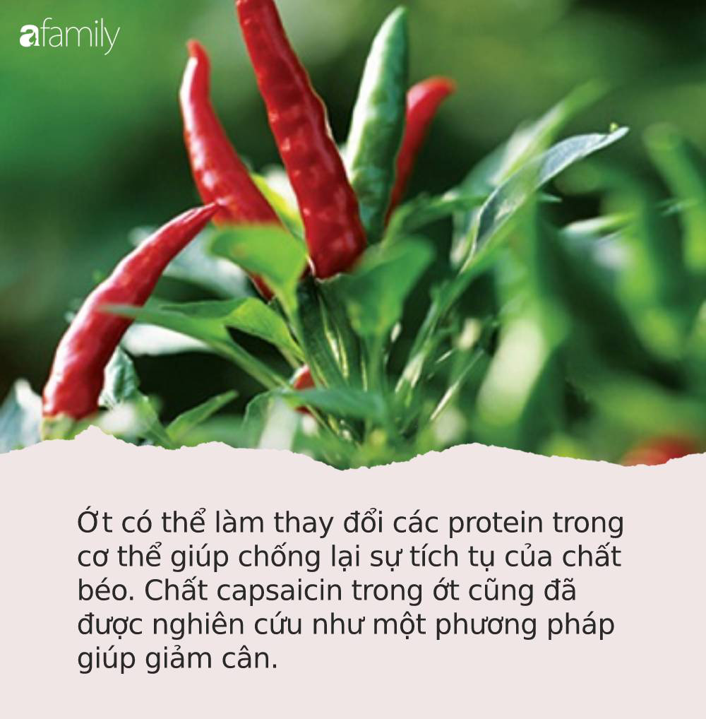 Loại quả có hình thù nhạy cảm, ăn nhiều sẽ giúp bạn sống lâu hơn, tránh mắc bệnh tim - Ảnh 4.