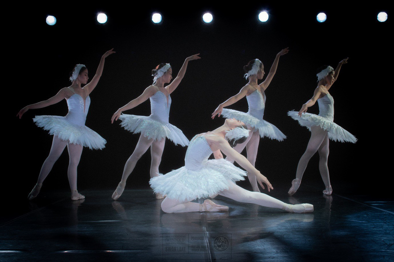 Cơ hội thưởng thức vở ballet Hồ Thi&ecirc;n Nga giữa Hồ Thi&ecirc;n Nga Ecopark - Ảnh 3.