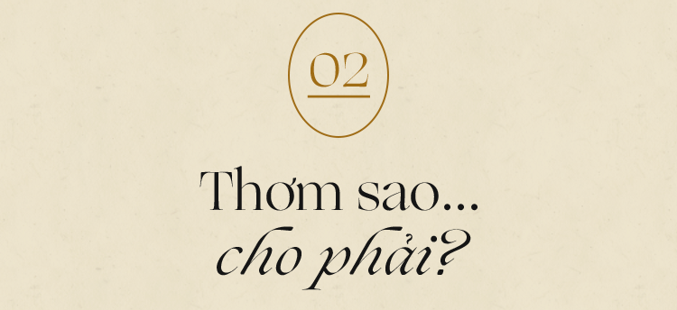 Nước hoa - thứ vũ khí quyến rũ vô hình hay chuyện những giọt hương miên man gieo vào lòng người thương nhớ  - Ảnh 6.