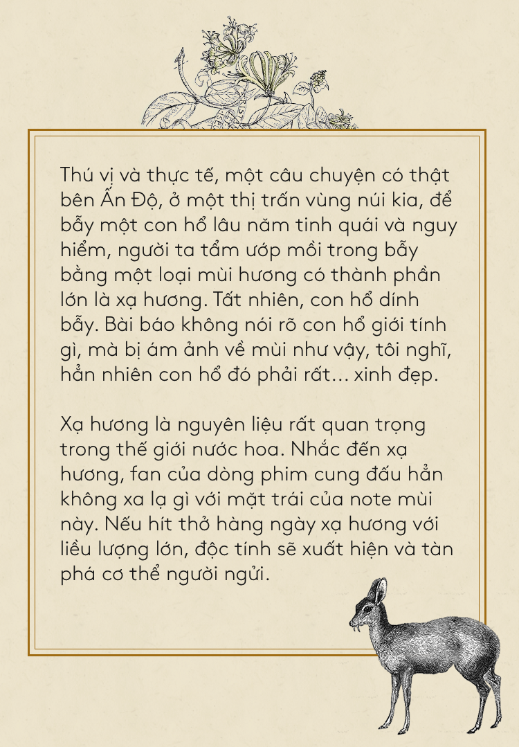 Nước hoa - thứ vũ khí quyến rũ vô hình hay chuyện những giọt hương miên man gieo vào lòng người thương nhớ  - Ảnh 12.