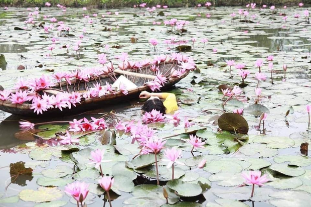 Mặc áo dài chèo thuyền chụp hoa súng và những cú ngã lộn nhào của cánh chị em khiến dân mạng &quot;dở khóc, dở cười&quot; - Ảnh 2.