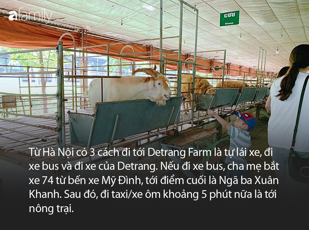 Cuối tuần không biết đi đâu, cha mẹ hãy đưa con đến ngay nông trại thú vị này - Ảnh 3.