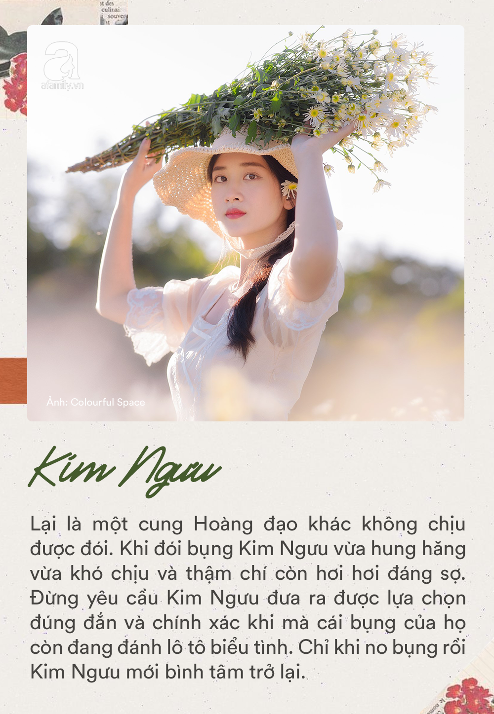 Khi Kim Ngưu Giận Người Yêu: Hiểu và Hóa Giải Cơn Giận Của Chòm Sao Bướng Bỉnh