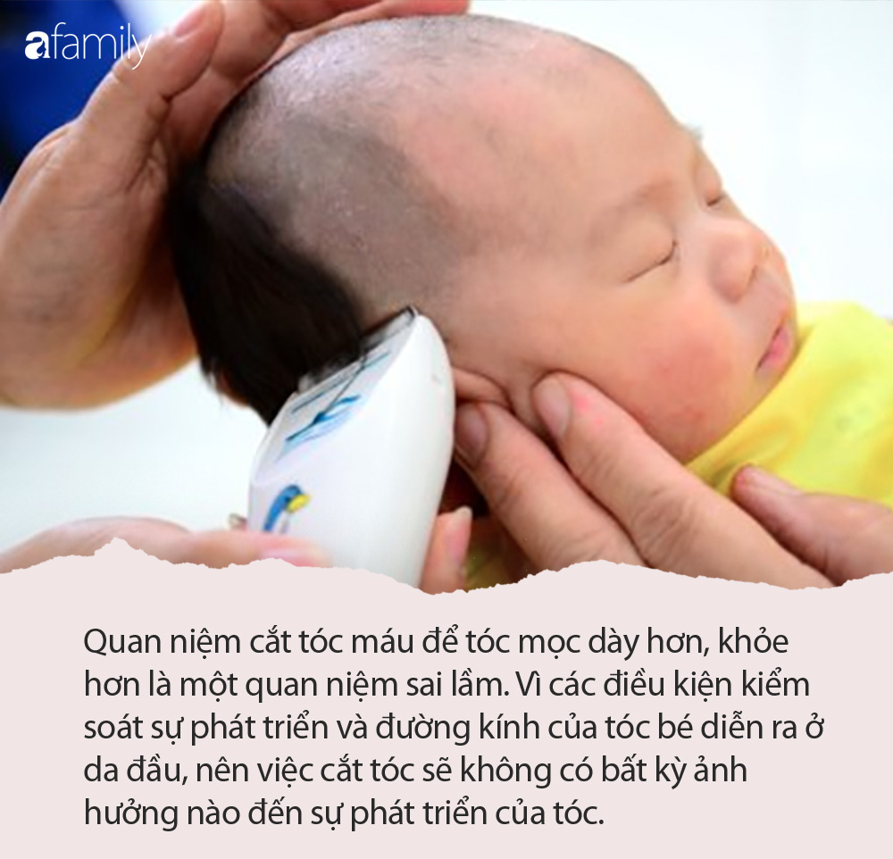 Cắt tóc máu và tóc dày khỏe cho bé yêu của bạn là một nhu cầu quan trọng của bậc cha mẹ. Hãy chọn một thợ cắt tóc tốt và chuyên nghiệp để đảm bảo cho bé được cắt tóc một cách an toàn và đẹp nhất có thể.