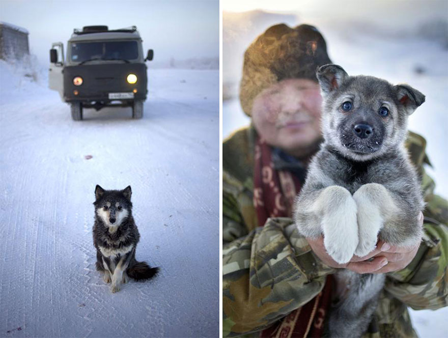 Đến ngôi làng Oymyakon, Chapple hầu như không gặp bất cứ người dân bản địa nào ngoài đường, bởi mọi người đều hạn chế ra khỏi nhà. Những người buộc phải đi ra ngoài cũng bước mau mau tới nơi cần tới, khăn mũ che kín mặt