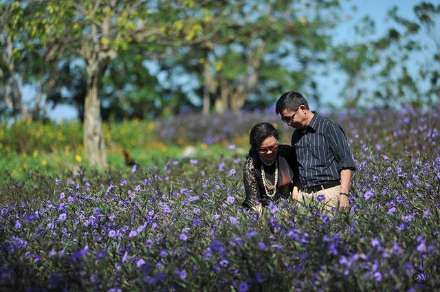 Hồ M&acirc;y Park &ndash; điểm đến d&agrave;nh cho đại gia đ&igrave;nh Tết n&agrave;y - Ảnh 1.