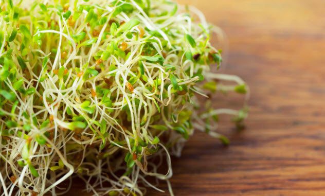 Lợi ích sức khỏe tuyệt vời của cỏ linh lăng, từ thúc đẩy giảm cân đến cải thiện quá trình tiêu hóa - Ảnh 5.