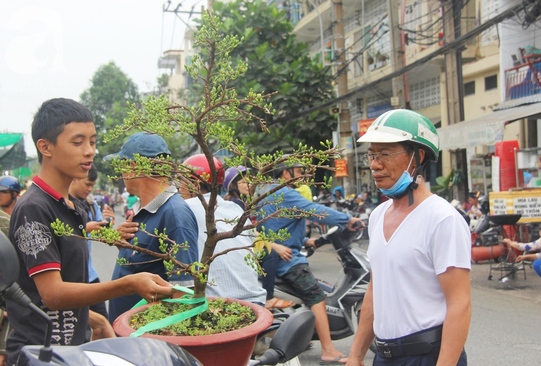 28 Tết, tiểu thương Bến Bình Đông lo lắng khi hoa đã nở rộ, sợ bán không hết khi vắng người mua - Ảnh 15.