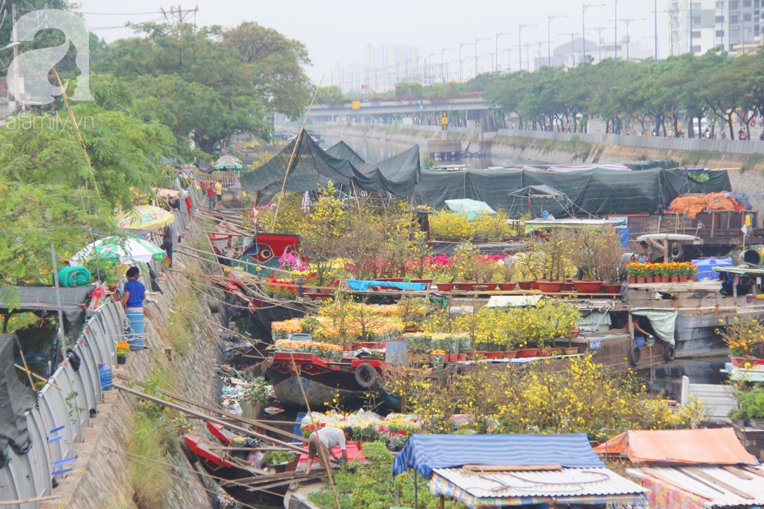 28 Tết, tiểu thương Bến Bình Đông lo lắng khi hoa đã nở rộ, sợ bán không hết khi vắng người mua - Ảnh 16.