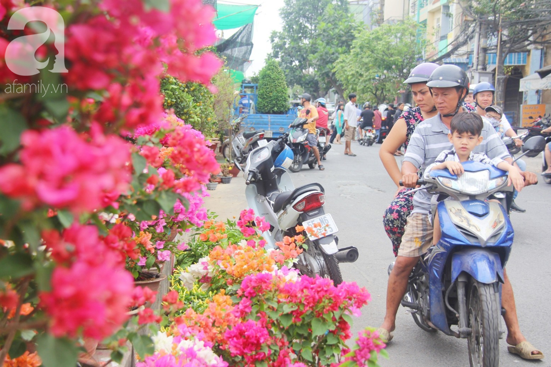 28 Tết, tiểu thương Bến Bình Đông lo lắng khi hoa đã nở rộ, sợ bán không hết khi vắng người mua - Ảnh 2.