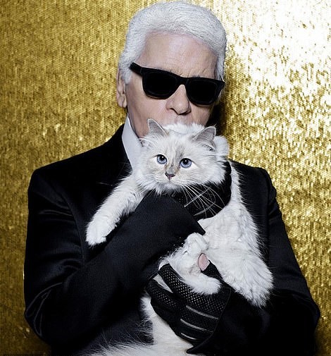 Gặp gỡ cô mèo cưng sang chảnh,  tình yêu đích thực của Karl Lagerfeld, được thừa kế khối tài sản bạc tỷ  - Ảnh 1.