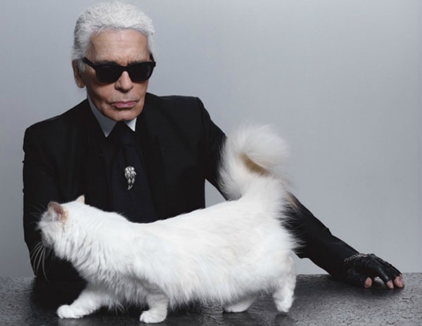 Gặp gỡ cô mèo cưng sang chảnh,  tình yêu đích thực của Karl Lagerfeld, được thừa kế khối tài sản bạc tỷ  - Ảnh 2.