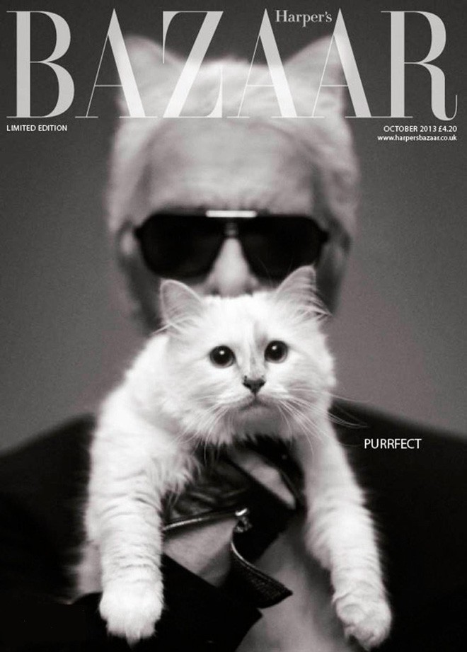 Nàng thơ bên Karl Lagerfeld: Choupette nàng thơ bên Karl Lagerfeld 