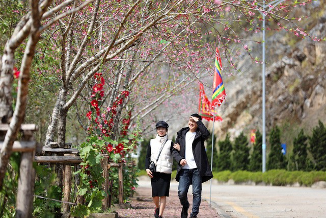 Đẹp mê mẩn thiên đường hoa đào tại xứ sở ngàn mây Sun World Fansipan Legend - Ảnh 1. Đẹp mê mẩn thiên đường hoa đào tại xứ sở ngàn mây Sun World Fansipan Legend - Ảnh 1.