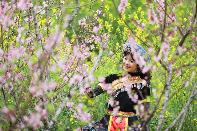 Đẹp mê mẩn thiên đường hoa đào tại xứ sở ngàn mây Sun World Fansipan Legend - Ảnh 4. Đẹp mê mẩn thiên đường hoa đào tại xứ sở ngàn mây Sun World Fansipan Legend - Ảnh 4.